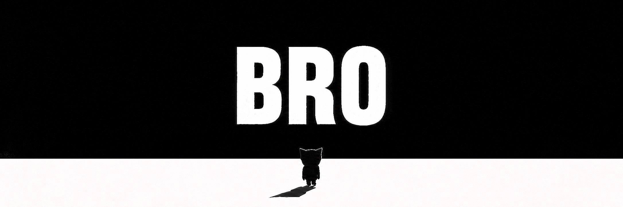 BRO banner with a black cat silhouette