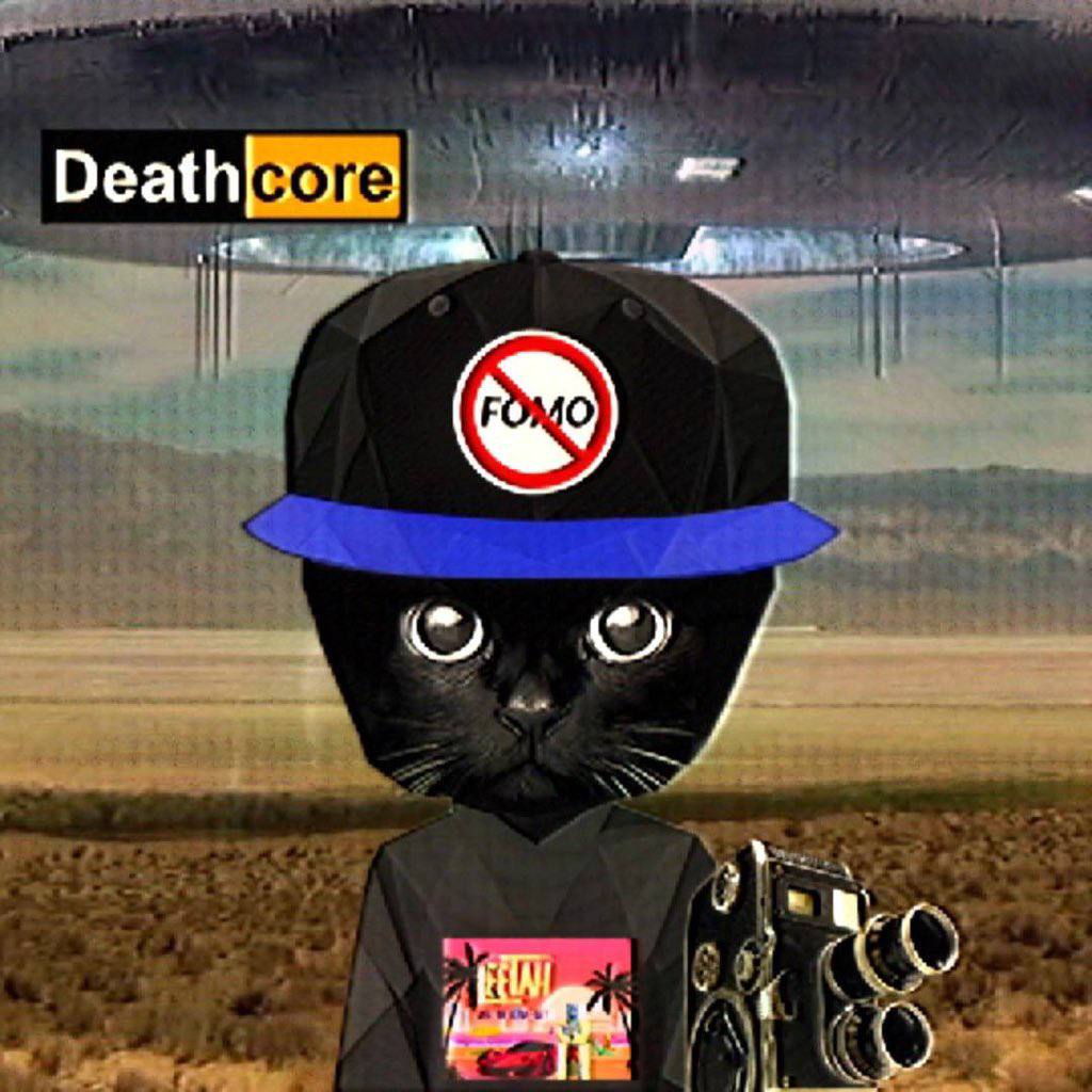 Bro Cat meme archive image 04