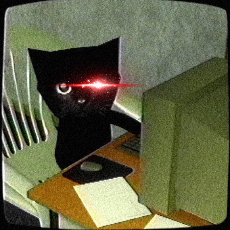Bro Cat meme archive image 12