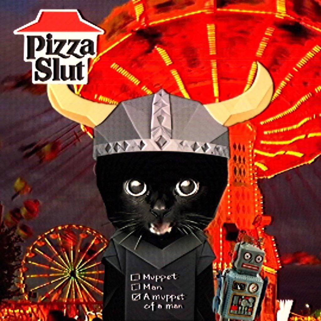 Bro Cat meme archive image 10