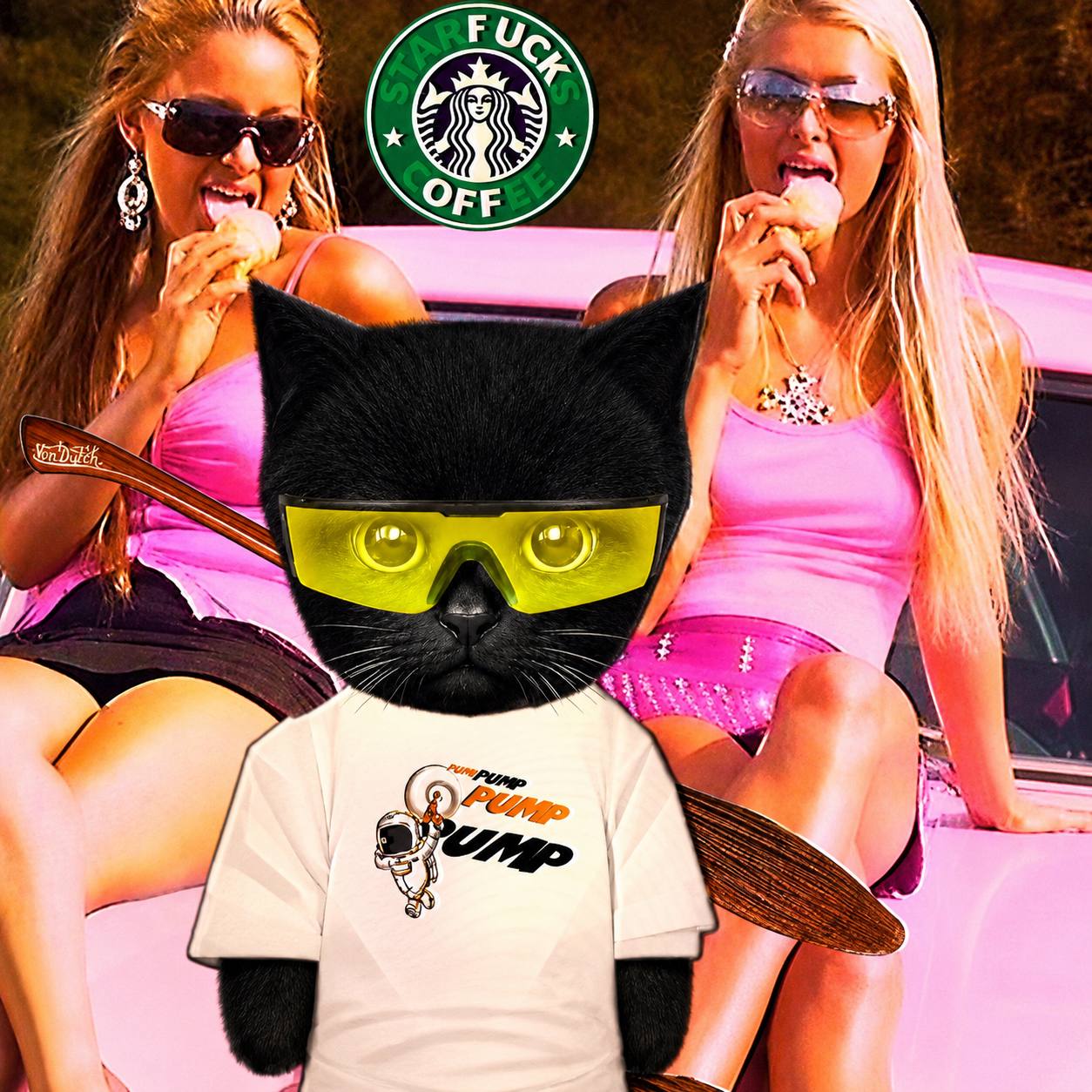 Bro Cat meme archive image 01